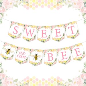 sweet as can bee banner pink bee baby shower decorations for girl pre-strung honey bee banner for bumble bee baby shower bridal shower sweet as can bee birthday party decorations