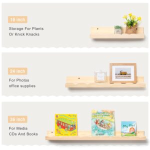 Fun Memories Picture Ledge Shelf for Wall, 24 inch Pine Wood Nursery Book Shelves Set of 2- Wall Book Shelves for Kids Room, Home Decor - Kitchen Spice-Natural