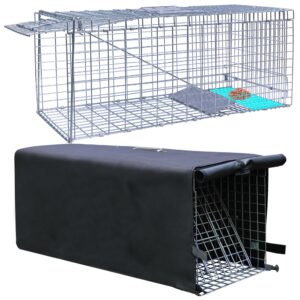 live animal trap cage with cover, cat trap for stray cats 32 inch heavy duty folding skunk trap with real door for raccoons, opossums, groundhogs, skunks, feral cats, squirrels-2 packs