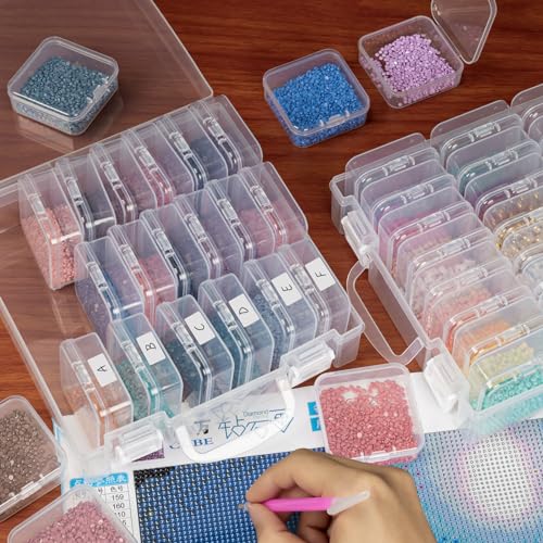 JIZIYRUO Clear Bead Organizer Box, 24Pcs Small Plastic Bead Storage Containers, Mini Rectangle Storage Boxes with Hinged Lids for Beads Seeds Jewelry Rhinestones Crafts Small Items (2 Pack)