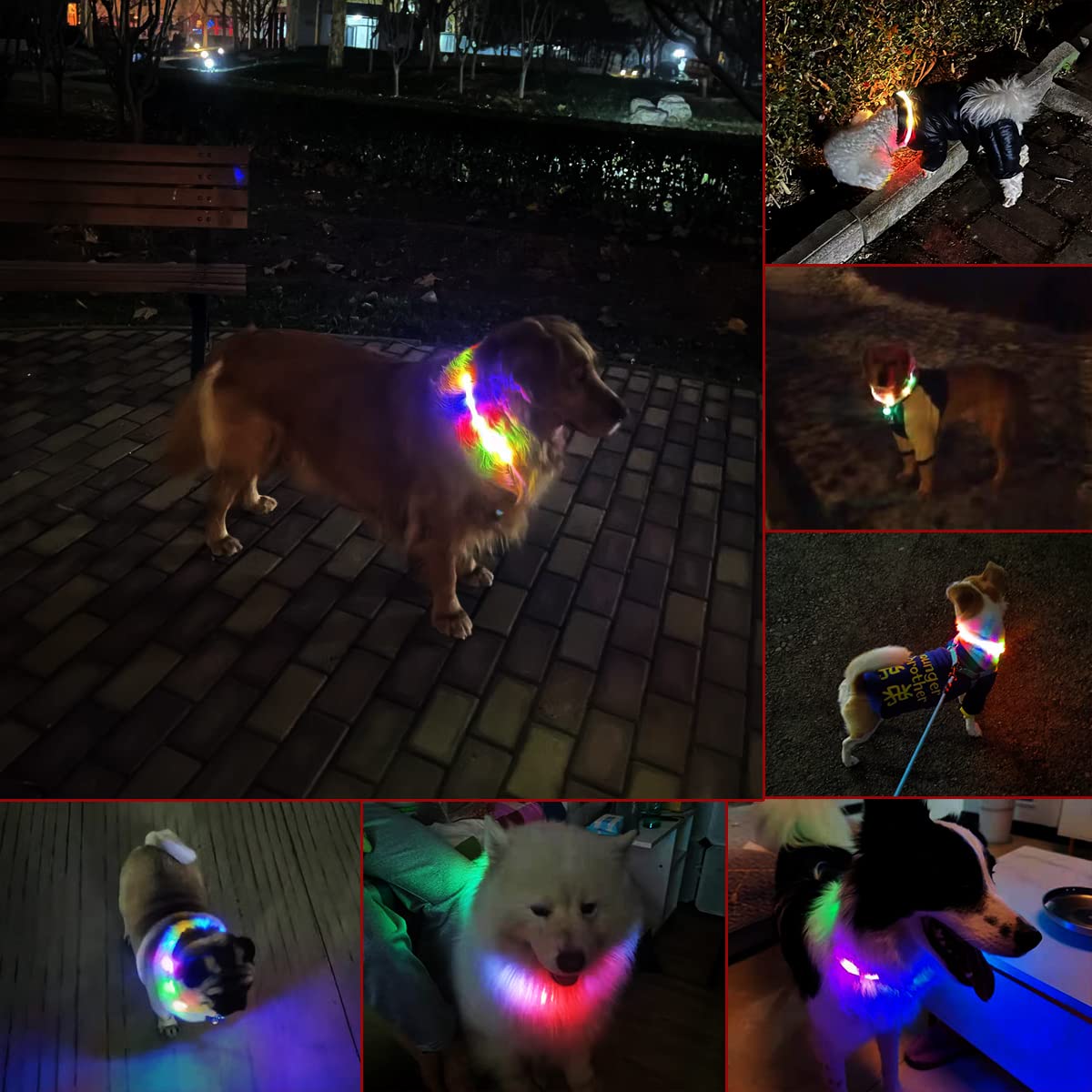 Waterproof LED Dog Collar USB Rechargeable Light Up Dog Collars Lights for Night Walking Lighted Safety Training & Behavior Aids for Small Medium to Large Dogs