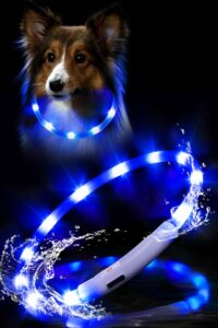 waterproof led dog collar usb rechargeable light up dog collars lights for night walking lighted safety training & behavior aids for small medium to large dogs