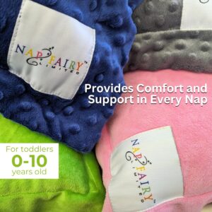 The Nap Fairy Pillow, Childrens Pillow with a Pocket, for Nap Time & Bed Time, 10x15, Soft Minky Fabric, Fun Teaching Tool for Kids, Pillow & Sham (Single Pillow, Cool Blue)