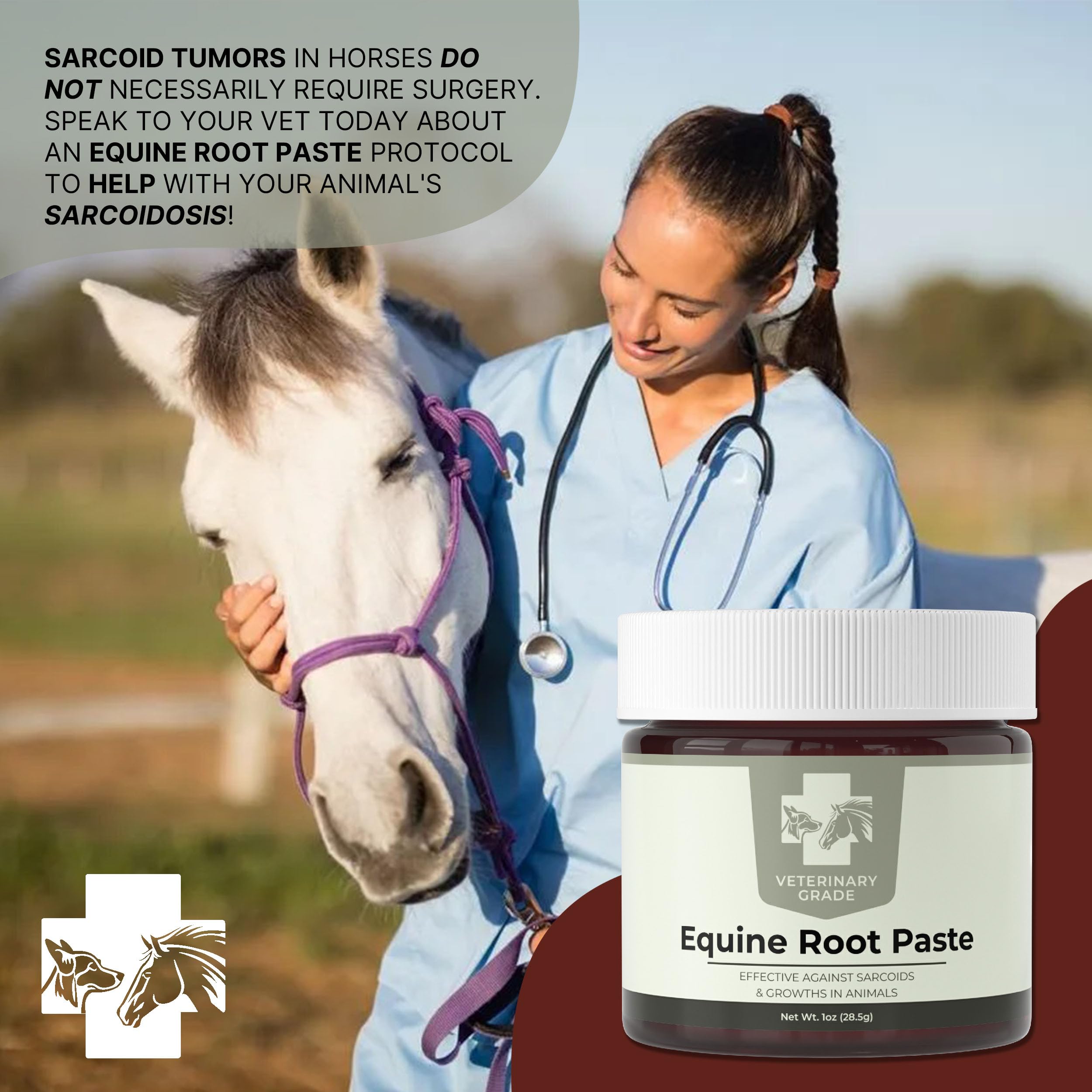 Vet Grade Horse Wellness Paste for Skin Anomalies | 1oz All-Natural Formula | Equine & Livestock Care