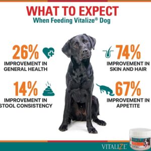 Vitalize Dog Digestive Health Powder - Relief for Constipation, Vomiting & Nausea, Skin & Coat Supplement- Multivitamin Powder with Omega 6, 3 & Biotin & Dog Prenatal Supplement (1 Pound)