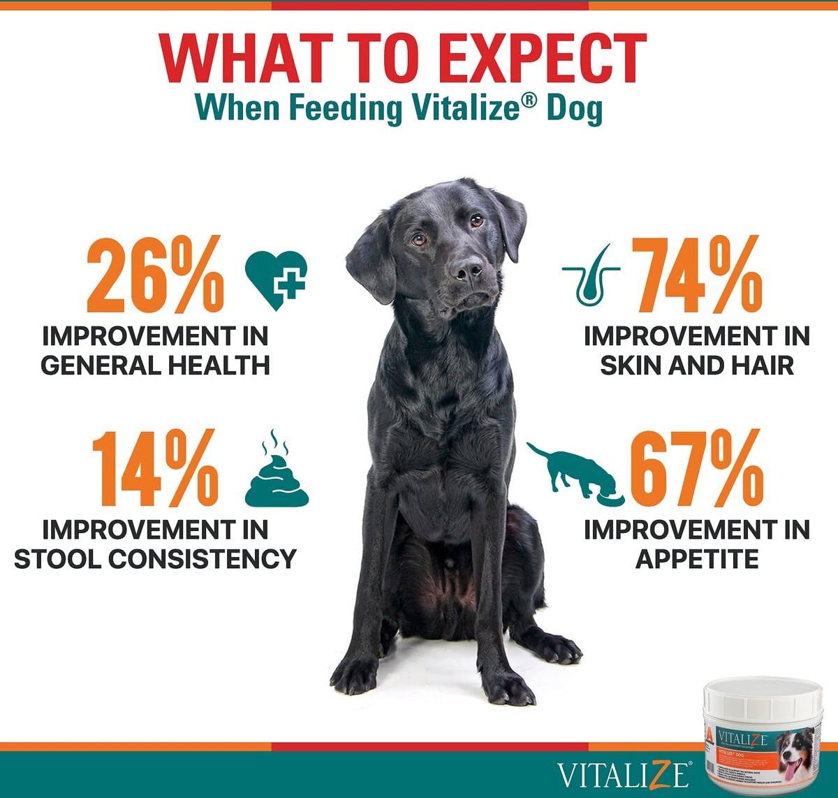 Vitalize Dog Digestive Health Powder - Relief for Constipation, Vomiting & Nausea, Skin & Coat Supplement- Multivitamin Powder with Omega 6, 3 & Biotin & Dog Prenatal Supplement (1 Pound)