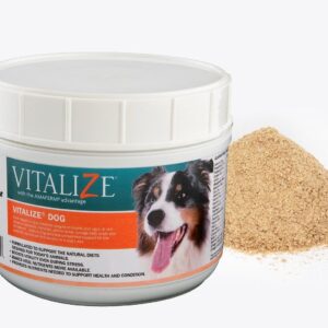 Vitalize Dog Digestive Health Powder - Relief for Constipation, Vomiting & Nausea, Skin & Coat Supplement- Multivitamin Powder with Omega 6, 3 & Biotin & Dog Prenatal Supplement (1 Pound)