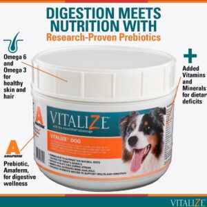 Vitalize Dog Digestive Health Powder - Relief for Constipation, Vomiting & Nausea, Skin & Coat Supplement- Multivitamin Powder with Omega 6, 3 & Biotin & Dog Prenatal Supplement (1 Pound)