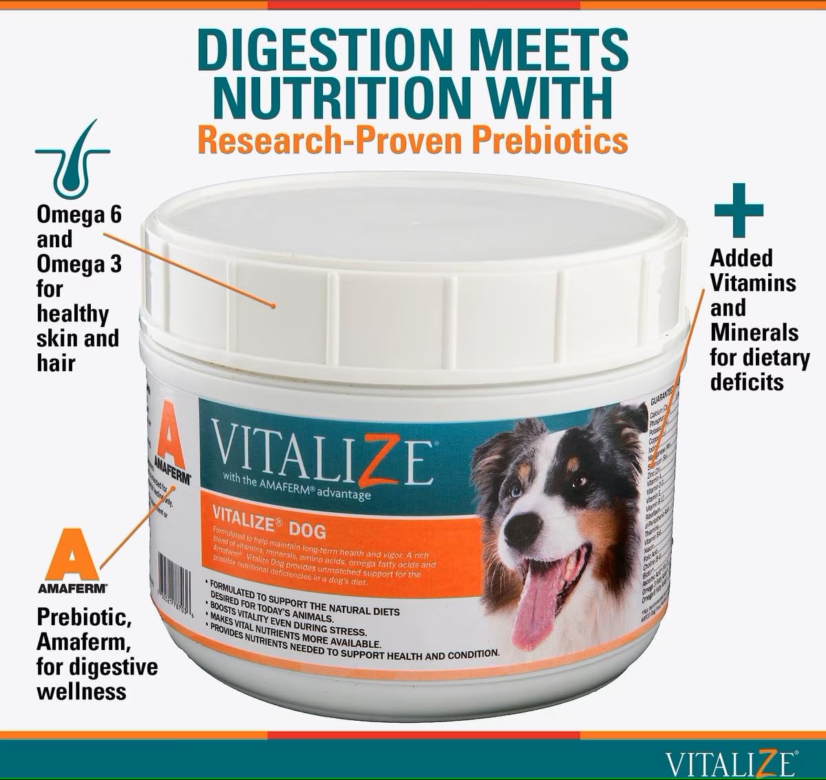 Vitalize Dog Digestive Health Powder - Relief for Constipation, Vomiting & Nausea, Skin & Coat Supplement- Multivitamin Powder with Omega 6, 3 & Biotin & Dog Prenatal Supplement (1 Pound)