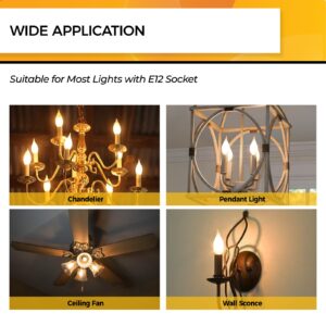 Hizashi LED Frosted Candelabra Light Bulbs, E12 LED Bulb 40W Equivalent, Dimmable 2700K Warm White, Chandelier Light Bulbs, 90+CRI, 450LM, Flame Tip CA10, UL Listed, 12 Pack