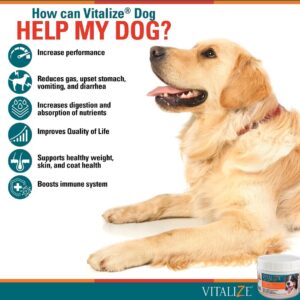 Vitalize Dog Digestive Health Powder - Relief for Constipation, Vomiting & Nausea, Skin & Coat Supplement- Multivitamin Powder with Omega 6, 3 & Biotin & Dog Prenatal Supplement (1 Pound)