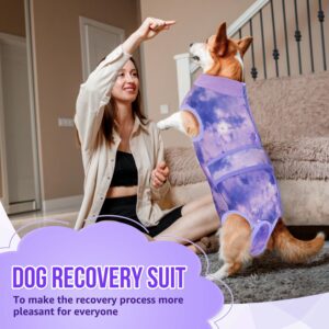 Lukovee Recovery Suit for Dogs, Zipper On Recovery Suit for Female Male Dog, Onesie Abdominal Wounds Cone E-Collar Alternative Prevent Licking Spay Recovery Suit (Purple Tie-dye,Large)