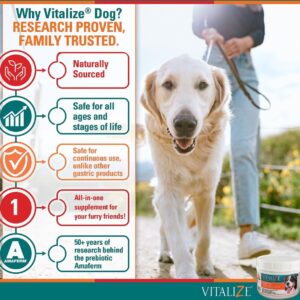 Vitalize Dog Digestive Health Powder - Relief for Constipation, Vomiting & Nausea, Skin & Coat Supplement- Multivitamin Powder with Omega 6, 3 & Biotin & Dog Prenatal Supplement (1 Pound)