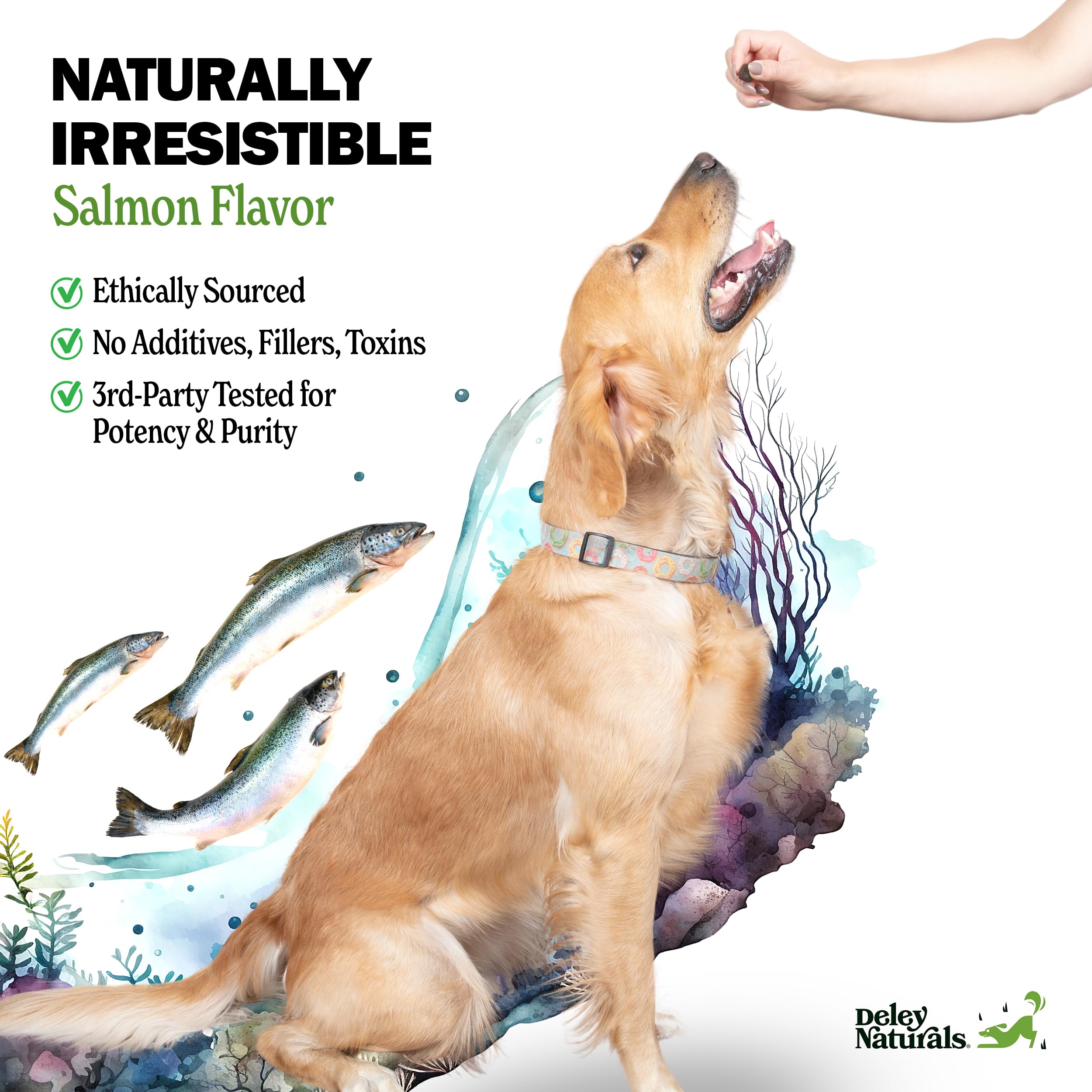 Deley Naturals Dog Allergy Chews - Omega 3 Fish Oil for Dogs with DHA & EPA, Biotin, Collagen, Vitamins C, E, & Zinc, Supports Shiny Coat - Dog Itching Relief Salmon Flavor - Dry Skin Relief for Dogs