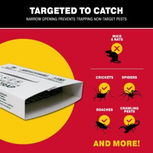 Catchmaster Pro Strength Mouse & Crawling Insect Glue Trap Set, 60-Pack & 12-Pack Sticky Pest Control Adhesive for Catching Bugs, Rats & Rodents