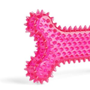 Leaps & Bounds Spiny Bone Assorted Medium Chew Toy for Dogs