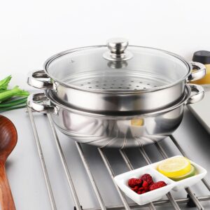 Steamer Pot for Cooking 4 Quart Steamer Pot 2-tier Multipurpose 18/8 Stainless Steel Steam Pot Cookware with Lid for Vegetable, Noodles, Pasta, Food