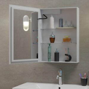 LED Lighted Medicine Cabinet Mirror 20" W x 28" H with 2 Adjustable Glass Shelves, Recessed or Surface Mount Bathroom Wall Cabinet with Touch Sensor, Defogger, Light Color Dimmer (3000-6500K)