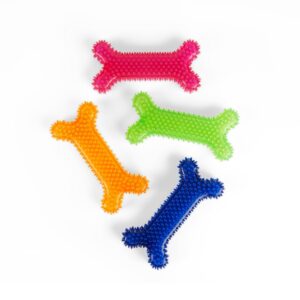 leaps & bounds spiny bone assorted medium chew toy for dogs