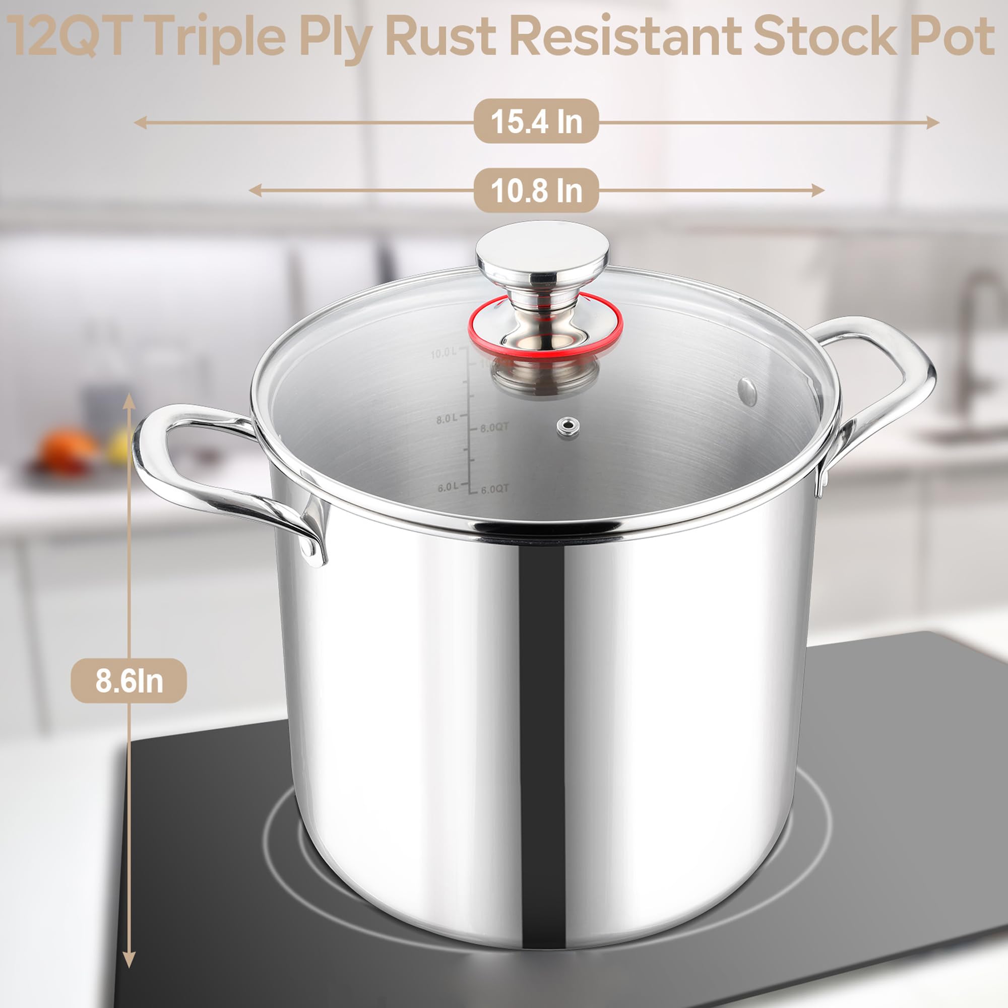 LIANYU 12 Quart Stock Pot with Lid, 18/10 12 QT Stainless Steel Soup Pot, Tri-Ply Heavy Duty large Canning Pasta Pot, Big Deep Pot for Cooking, Nonstick Induction Stockpot with Measuring Mark