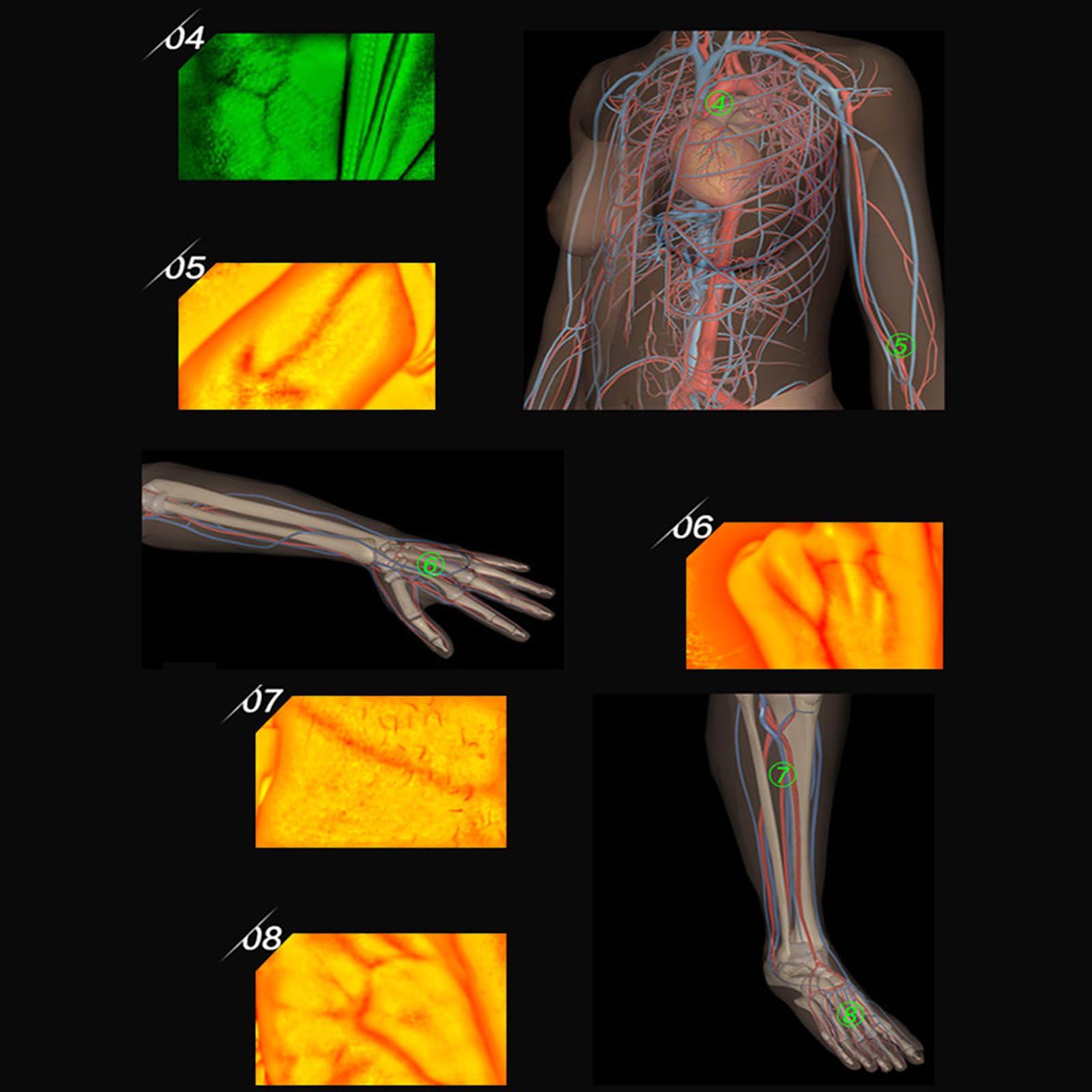 Vein Finder, Portable Blood Vessel Finder, Medical Vein Image Display Instrument, Infrared Vein Finder Viewer Light with 5 Modes for Elderly Adult Children Easy Finding Subcutaneous Veins