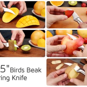 WELLSTAR 2.5 Inch Birds Beak Paring Knife, Sharp High Carbon Stainless Steel Curved Blade for Fruit and Vegetable Peeling Garnishing Cutting – Silver