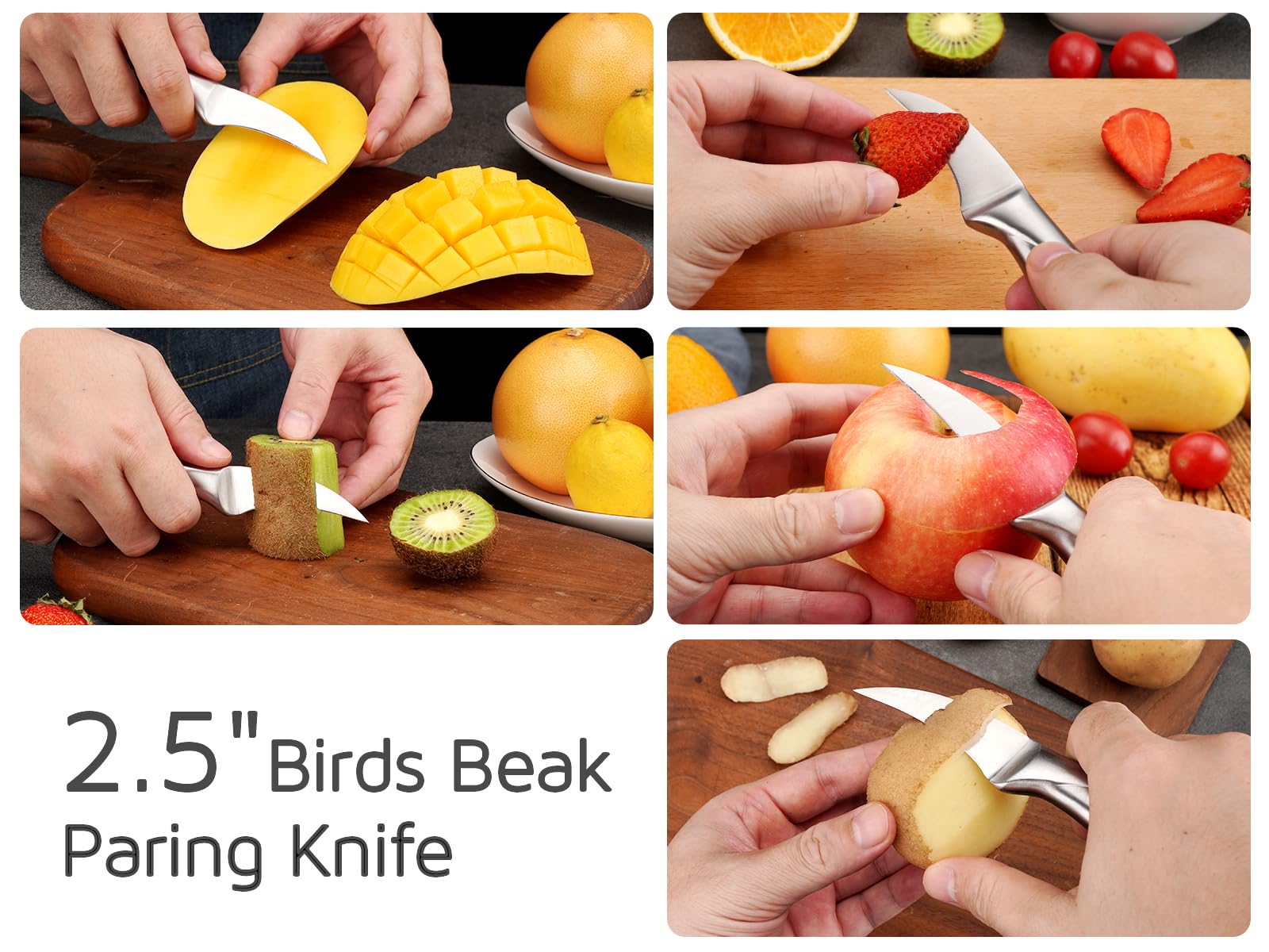 WELLSTAR 2.5 Inch Birds Beak Paring Knife, Sharp High Carbon Stainless Steel Curved Blade for Fruit and Vegetable Peeling Garnishing Cutting – Silver