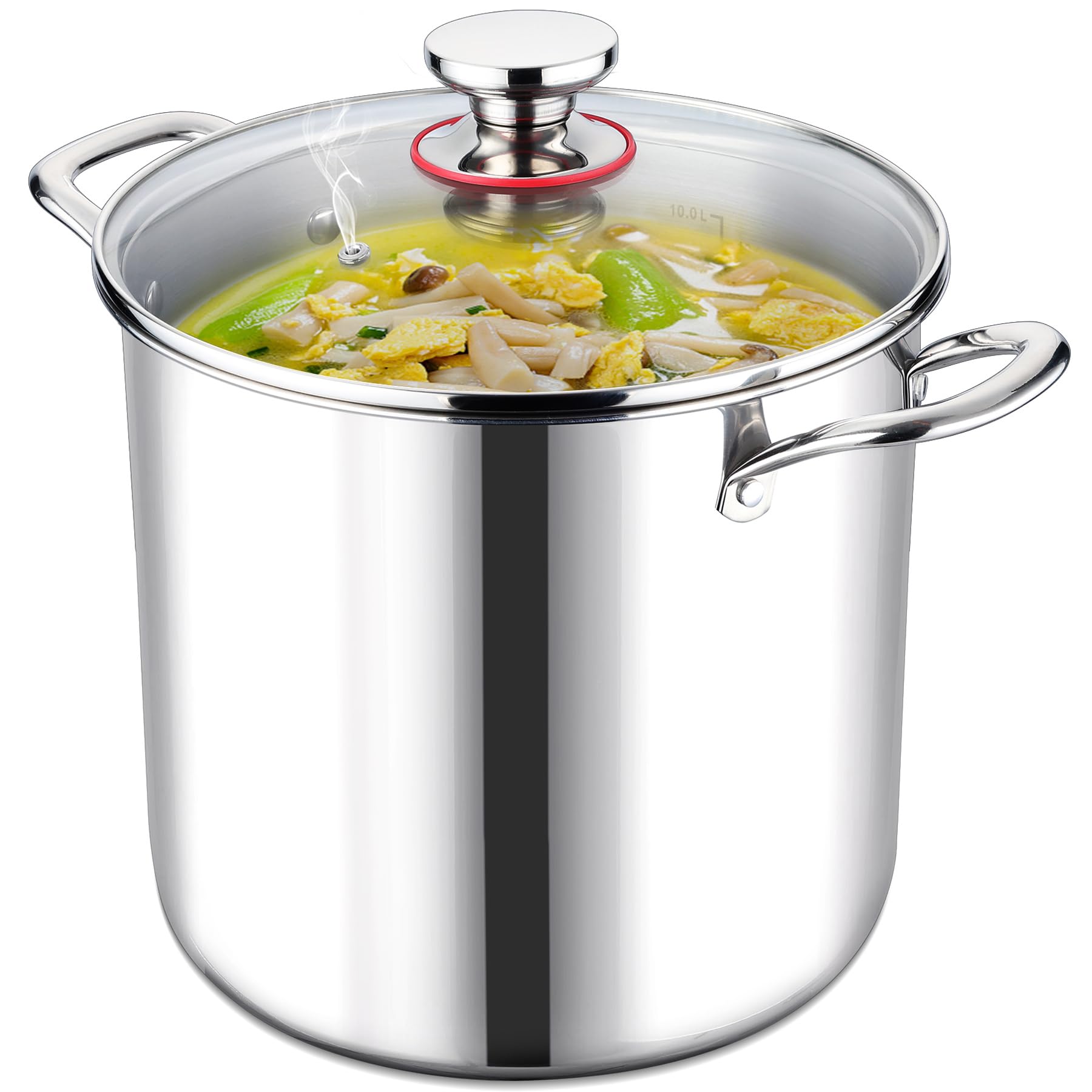 LIANYU 12 Quart Stock Pot with Lid, 18/10 12 QT Stainless Steel Soup Pot, Tri-Ply Heavy Duty large Canning Pasta Pot, Big Deep Pot for Cooking, Nonstick Induction Stockpot with Measuring Mark