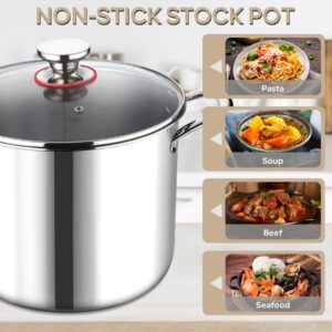 LIANYU 12 Quart Stock Pot with Lid, 18/10 12 QT Stainless Steel Soup Pot, Tri-Ply Heavy Duty large Canning Pasta Pot, Big Deep Pot for Cooking, Nonstick Induction Stockpot with Measuring Mark