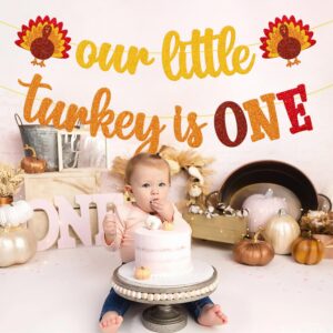 Our Little Turkey is One Banner Thanksgiving 1st Birthday Decoration First Fall Bday Decor Thankful 1st Birthday Baby Shower Garland Pumpkin Maple Leaves theme Event Celebration Supplies