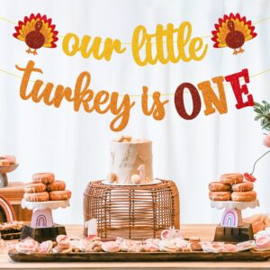 Our Little Turkey is One Banner Thanksgiving 1st Birthday Decoration First Fall Bday Decor Thankful 1st Birthday Baby Shower Garland Pumpkin Maple Leaves theme Event Celebration Supplies