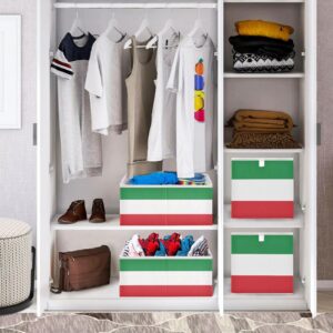 Italian Flag Cube Storage Bin,Large Collapsible Organizer Storage Basket for Home Décor 11 x 11 x 11 in