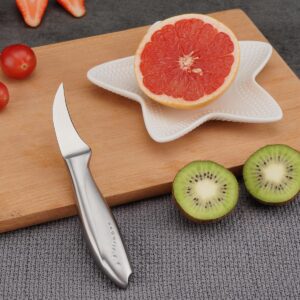 WELLSTAR 2.5 Inch Birds Beak Paring Knife, Sharp High Carbon Stainless Steel Curved Blade for Fruit and Vegetable Peeling Garnishing Cutting – Silver