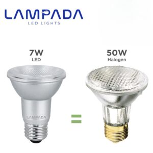 LAMPADA PAR 20 5000k LED Dimmable Flood Light Bulb Dimmable Bulbs for Recessed and Track Lighting Bulbs E26 Medium Base 50W Halogen Equivalent, 500 Lumens, 5000K Daylight White Pack of 4