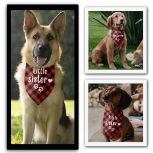 Little Sister Dog Bandana Pregnancy Announcement Gender Reveal Dog Bandana Photo Prop Pet Scarf Accessories for Pet Dog Lovers Gifts