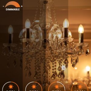 MEQIQTEK E12 60 Watt Incandescent Candle Light Bulbs, Chandelier Light Bulbs for Ceiling Fan, Vanity, Outdoor - Warm White 2500K, 500 Lumen Dimmable B10 Clear Candelabra Base Bulbs (12 Pack)