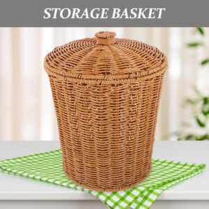 LIOOBO Round Rattan Storage Basket with Lid: Rattan Basket with Lid, Round Storage Basket for Home Organizer