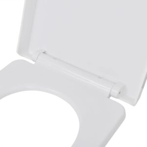 VRAXO Soft-close Toilet Seat with Quick-release Design White Square,Toilet & Bidet Seats-4.14lbs