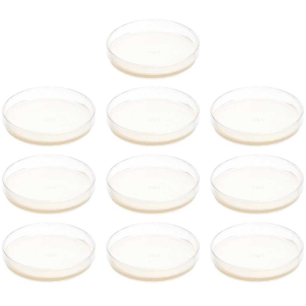 ULTECHNOVO 10 pcs Nutrient agar Plate agar Petri Dishes Petri Dishes with lids pre Poured agar Plates Laboratory Accessory prepoured Petri Dish Mushroom agar Plates Child Stripe Specimen