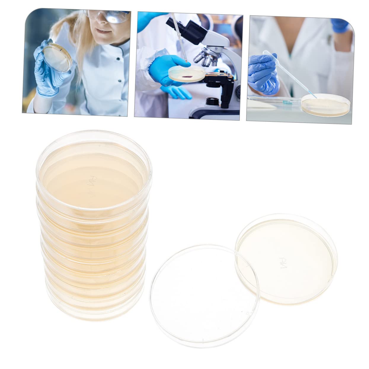 30 Pcs Nutrient Agar Plate Agar Petri Dishes for Mushrooms Tissue Culture Agar Plates Agar Plates for Experiment Dish Lab Dishes Kid Stuff Finished Product Child Specimen