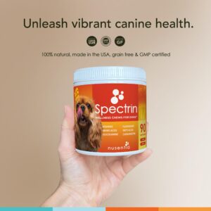 Chew Vitamins for Dogs (90 ct), Glucosamine for Joint Support with Antioxidants, Omega-3 & Vitamins for Skin, Liver and Heart Health - Spectrin