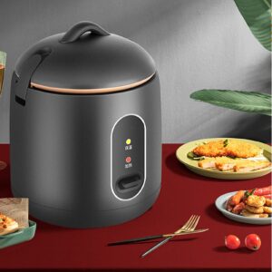 Tyenaza Mini Rice Cooker, 1.2L Multifunction 200W Power Full Automatic Portable Rice Cooker for Home Dorm Travel CN 220V