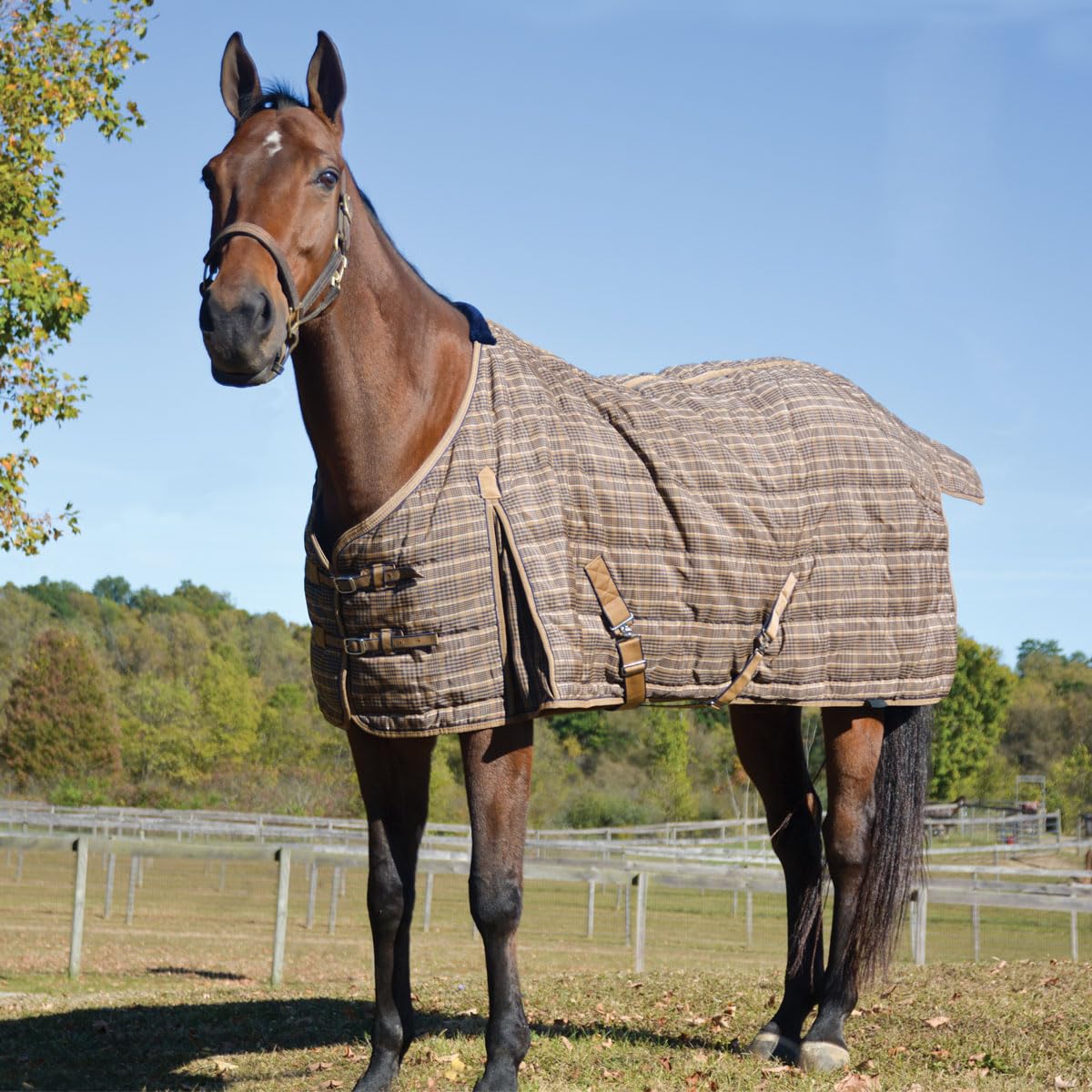 Country Pride Highland 1200D Lightweight Stable Blanket (60, Tan Plaid)