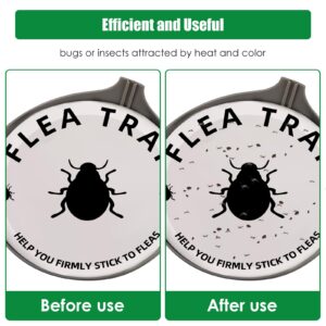 4 Pack Flea Trap Indoor Flea Light for Inside Your Home with 8 Sticky Disc & 12 Bulbs & 4 Electric Wires Pet and Kid Healthly,Sticky Bed Bug Trap Pest Control