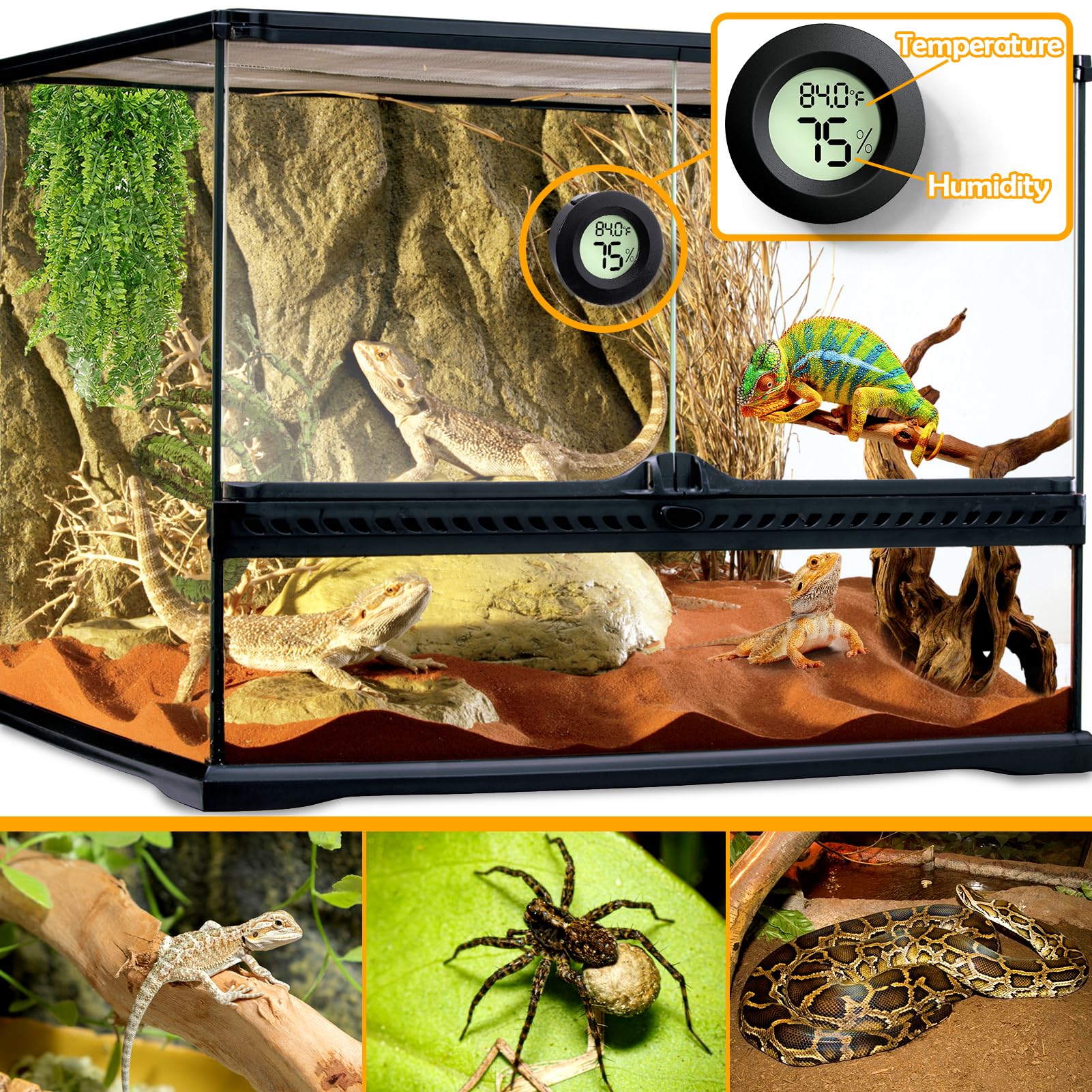 Reptile Tank Accessories, 2 PCS Reptile Thermometer and Humidity Gauge for Bearded Dragon, Jumping Spider, Leopard Gecko, Hermit Crab, Gecko, Ball Python, Lizard