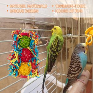 Bird Toys Parakeet Toy Parrot Chewing Shredding Foraging Toys with Rope Perch Hanging Toys Bird Cage Accessories for Cockatiel Conure Budgies Lovebird 5 Pack