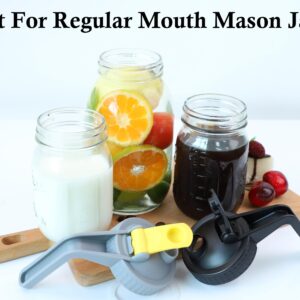 Mason Jar Pour Spout Lids With Handle Regular Mouth Mason Pitcher Lid With Flip Cap Airtight & Leak-Proof Pour Lid,Turns your Mason Jar into Pitcher (Jar Not Included)