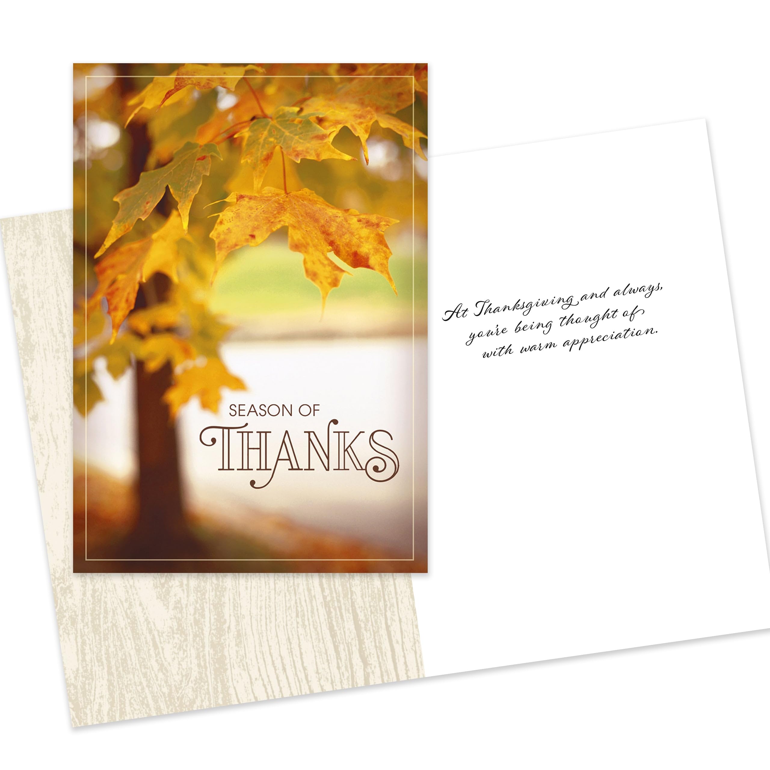 Hallmark Business 25 Pack Bulk Assorted Thanksgiving Cards (Appreciation & Thanks) for Customers