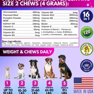 Dog Multivitamin Chewable with Glucosamine 16 in 1 - Dog Vitamins and Supplements - Hip and Joint Support Health - Immunity, Mobility - Gut, Skin, Heart, Coat