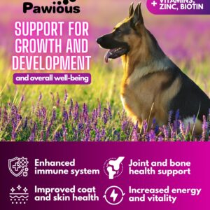 Dog Multivitamin Chewable with Glucosamine 16 in 1 - Dog Vitamins and Supplements - Hip and Joint Support Health - Immunity, Mobility - Gut, Skin, Heart, Coat